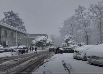 გურიის ახალი ამბები – 21. 02. 2025