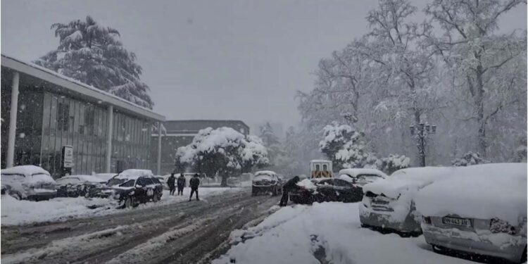 გურიის ახალი ამბები – 21. 02. 2025