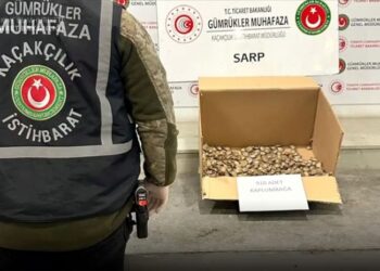 სარფის საბაჟოზე 910 წყლის კუ აღმოაჩინეს, რომელიც საქართველოდან თურქეთში კონტრაბანდულად შეჰქონდათ