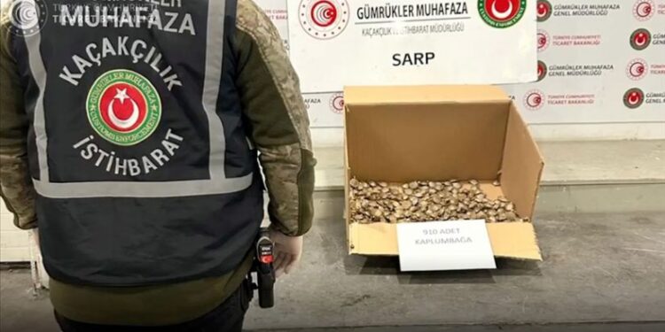 სარფის საბაჟოზე 910 წყლის კუ აღმოაჩინეს, რომელიც საქართველოდან თურქეთში კონტრაბანდულად შეჰქონდათ