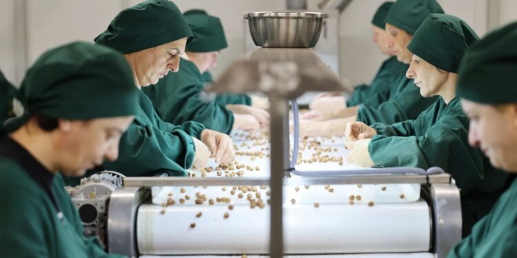 USAID-ის დახურვის შემდეგ თხილის სექტორში სიტუაცია კიდევ უფრო გართულდა – ლევან ქარდავა