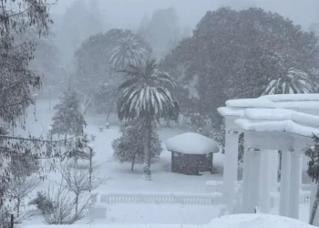 აჭარის რეგიონში უხვმა ნალექმა პრობლემები შექმნა