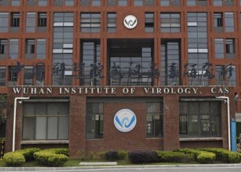 გერმანიის საგარეო დაზვერვა – კორონავირუსის პანდემიის დაწყება, შესაძლოა, ჩინეთის ლაბორატორიაში უყურადღებობას გამოეწვია