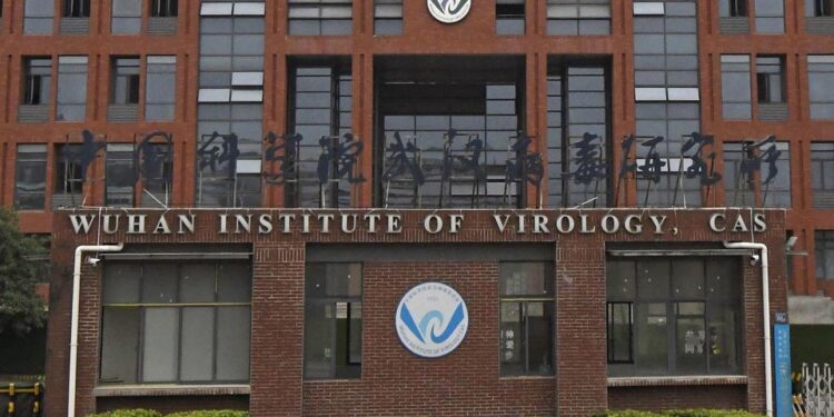 გერმანიის საგარეო დაზვერვა – კორონავირუსის პანდემიის დაწყება, შესაძლოა, ჩინეთის ლაბორატორიაში უყურადღებობას გამოეწვია