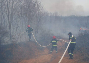 სამეგრელოში, სხვადასხვა ლოკაციაზე ხანძარია – ცეცხლი დასახლებულ პუნქტს უახლოვდება