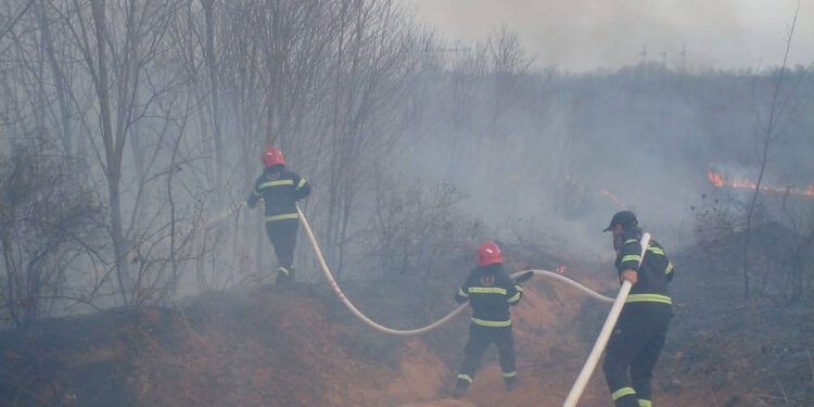 სამეგრელოში, სხვადასხვა ლოკაციაზე ხანძარია – ცეცხლი დასახლებულ პუნქტს უახლოვდება