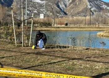 გორში, ახალბაღის პარკის ტბაში ცხედარი იპოვეს