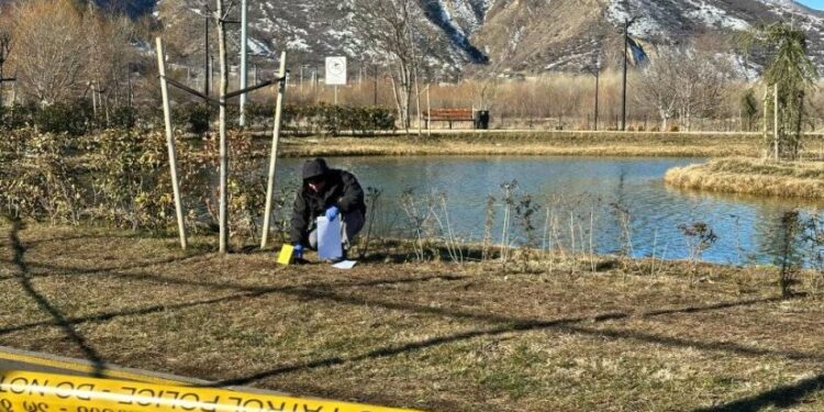 გორში, ახალბაღის პარკის ტბაში ცხედარი იპოვეს