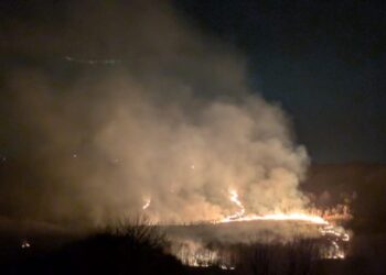 სამეგრელოში ხანძარია – დამწვარია ანძა, საცხოვრებელი სახლი