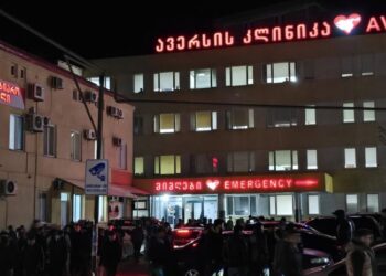 ავარიას ქვეითის სიცოცხლე ემსხვერპლა