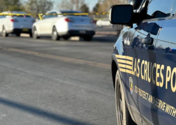 აშშ-ში მასობრივ სროლას სამი ადამიანი ემსხვერპლა, დაშავდა 15