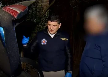 გიორგი ბაჩიაშვილისთვის საზღვრის უკანონო გადაკვეთაში დახმარების ბრალდებით 1 პირი დააკავეს