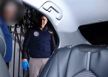 როგორ შეძლო გიორგი ბაჩიაშვილმა საქართველოს საზღვრის გადაკვეთა – შსს ინფორმაციას ავრცელებს