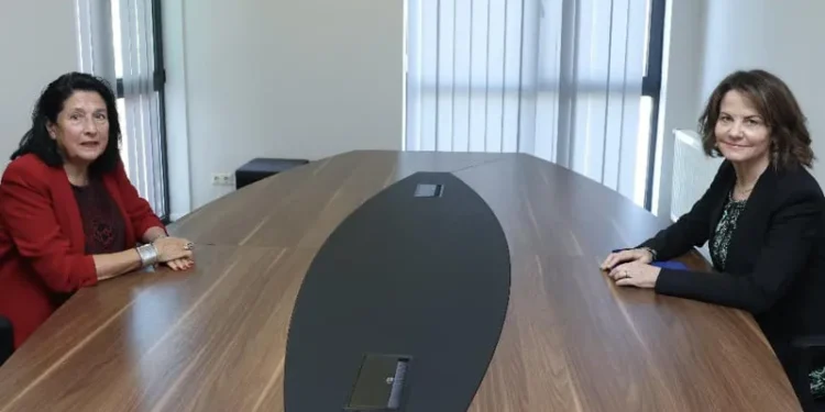 რობინ დანიგანი სალომე ზურაბიშვილს შეხვდა