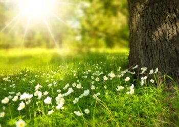 როდიდან დაიწყება გაზაფხულის ამინდები – პროგნოზი