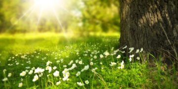 როდიდან დაიწყება გაზაფხულის ამინდები – პროგნოზი