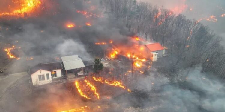 სამხრეთ კორეაში ტყის ხანძრის შედეგად, სულ მცირე, 18 ადამიანი დაიღუპა, 19 კი დაშავდა