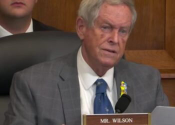 უილსონი: მომავალი არის დამოუკიდებელი სამხ.კავკასია რუსეთის, ირანისა და ჩინეთის გარეშე