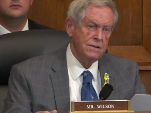 უილსონი: მომავალი არის დამოუკიდებელი სამხ.კავკასია რუსეთის, ირანისა და ჩინეთის გარეშე