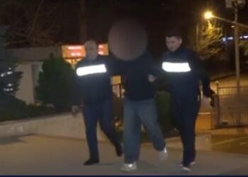 დააკავეს რუსეთის მოქალაქე, რომელმაც თბილისში მიმდინარე საპროტესტო აქციისას პოლიციის მანქანა დააზიანა