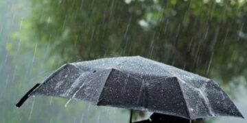 როგორი ამინდია მოსალოდნელი დღეს საქართველოში?