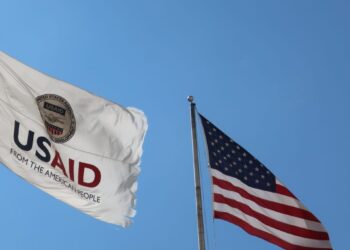 USAID რიგ ფუნქციებს 1 ივლისამდე სახდეპს ჩააბარებს, დანარჩენს კი გააჩერებს