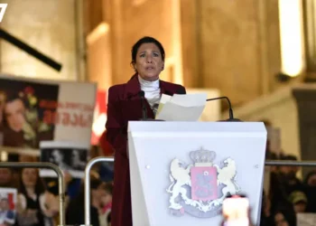 სალომე ზურაბიშვილი – მიზნის მისაღწევად საჭიროა შეიქმნას პროევროპული პოლიტიკური სპექტრის მონაწილეობით წინააღმდეგობის პლატფორმა