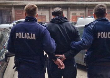 ვარშავაში ინტერნეტ-თაღლითობის ბრალდებით ორი ქართველი დააკავეს