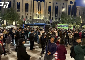 პარლამენტთან, სტუდენტებისა და აქციების დროს დაკავებულთა მშობლების აქცია მიმდინარეობს