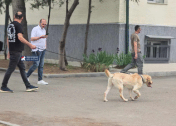 ამ წუთებში რუსთავის საჯარო სკოლაში ევაკუაციაა