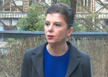 თამარ ჩერგოლეიშვილი იმ პარტიების ჩამონათვალს აქვეყნებს, რომლებიც „წინააღმდეგობის კომიტეტს“ უერთდებიან