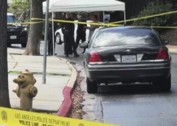 აშშ-ში ქართველი კაცის მკვლელობისთვის სამი ქართველი დააკავეს