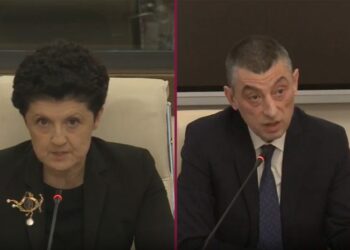 “…სათამაშოა მაკა გომურის ამოთხრილი თვალი?” – წულუკიანი გახარიას