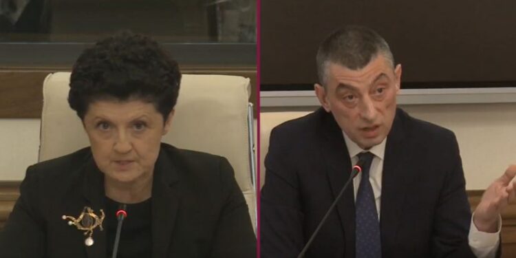 “…სათამაშოა მაკა გომურის ამოთხრილი თვალი?” – წულუკიანი გახარიას