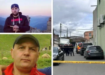 “ახალკაცს უჩხუბია, გასაყიდად ჩემნაირი ბოტასები რატომ აიღე ლილოშიო… მიუვარდა დათოს, ჯერ მისი შვილი დაცხრილა და მერე დათოც ზედ მიაყოლა” – მამა-შვილის მკვლელობის დეტალები