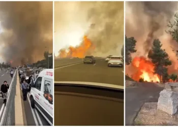 ცეცხლი დასახლებულ ადგილებს უახლოვდება, პანიკაა ქუჩებში – იერუსალიმთან ახლოს ძლიერი ხანძარი მძვინვარებს