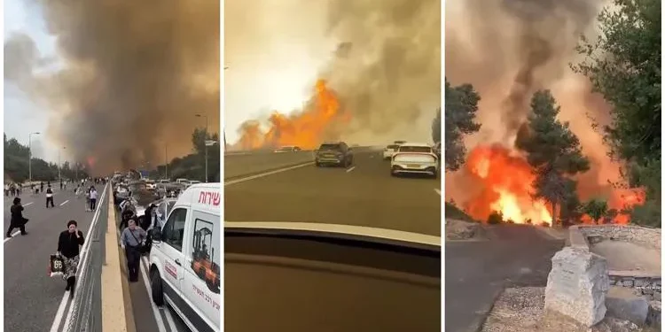 ცეცხლი დასახლებულ ადგილებს უახლოვდება, პანიკაა ქუჩებში – იერუსალიმთან ახლოს ძლიერი ხანძარი მძვინვარებს