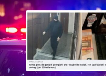 იტალიაში, პოლიციამ ბინების გაქურდვის ბრალდებით ქართველები დააკავა