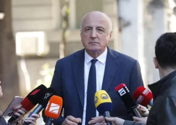 ბადრი ჯაფარიძეს სასამართლომ 50 000-ლარიანი გირაო შეუფარდა