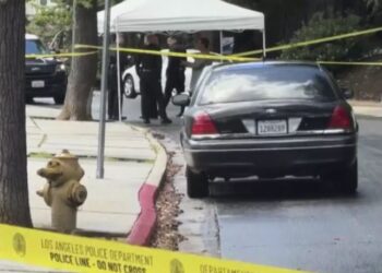 ლოს-ანჯელესში ქართველი მამაკაცის მკვლელობისთვის 3 ქართველი დააკავეს