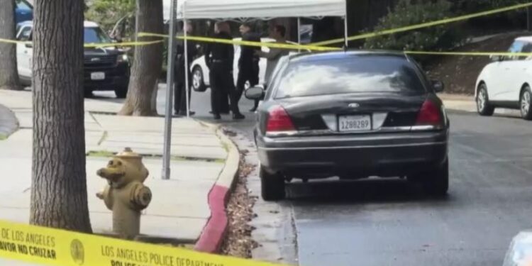 ლოს-ანჯელესში ქართველი მამაკაცის მკვლელობისთვის 3 ქართველი დააკავეს