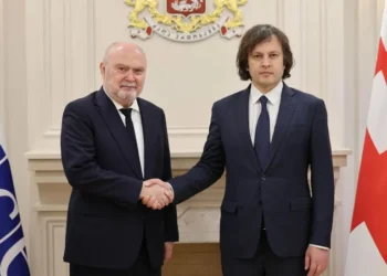 ირაკლი კობახიძე ეუთო-ს გენერალურ მდივანს შეხვდა