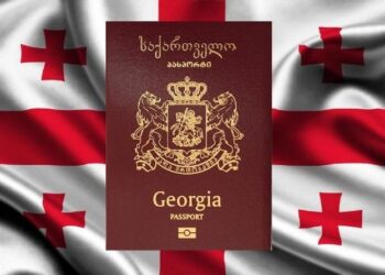 2024 წელს საქართველოს მოქალაქეობა 3 587 ადამიანს მიენიჭა – როგორია განაწილება ქვეყნების მიხედვით?
