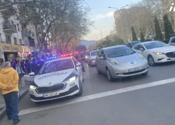 შსს-ში აცხადებენ, რომ პოლიციელმა ძაღლს სამსახურებრივი იარაღიდან აუცილებელი მოგერიების ფარგლებში ესროლა