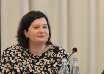 ირაკლი კობახიძის ბრძანებით, გრანტების სააგენტოს თამარ ზოდელავა უხელმძღვანელებს