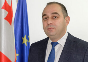 ვინ არის და რა ქონებას ფლობს საკონსტიტუციო სასამართლოს ახალი თავმჯდომარე