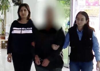 “დაზარალებულ ცოლ-ქმარს სუროგაციის გზით შვილი სურდა” – თაღლითობისთვის 1 პირი დააკავეს