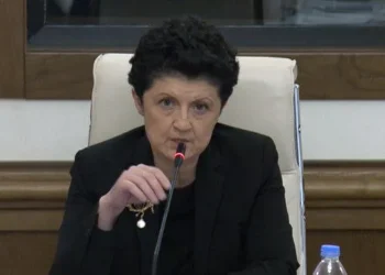 ისე ნუ იზამთ, თითქოს ჩვენ დავთხარეთ ვიღაცას თვალები – თეა წულუკიანი გიორგი გახარიას