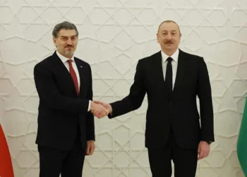 „არაერთხელ გავხდით გარე ძალების ჩარევის ობიექტები“ – ყაველაშვილი ბაქოში ალიევს შეხვდა