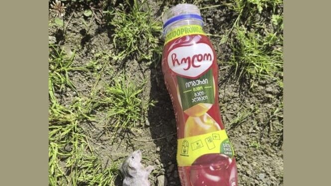 ოზურგეთში მომხმარებელმა იოგურტში თაგვი აღმოაჩინა